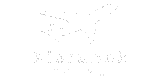 Kierunek Tokyo